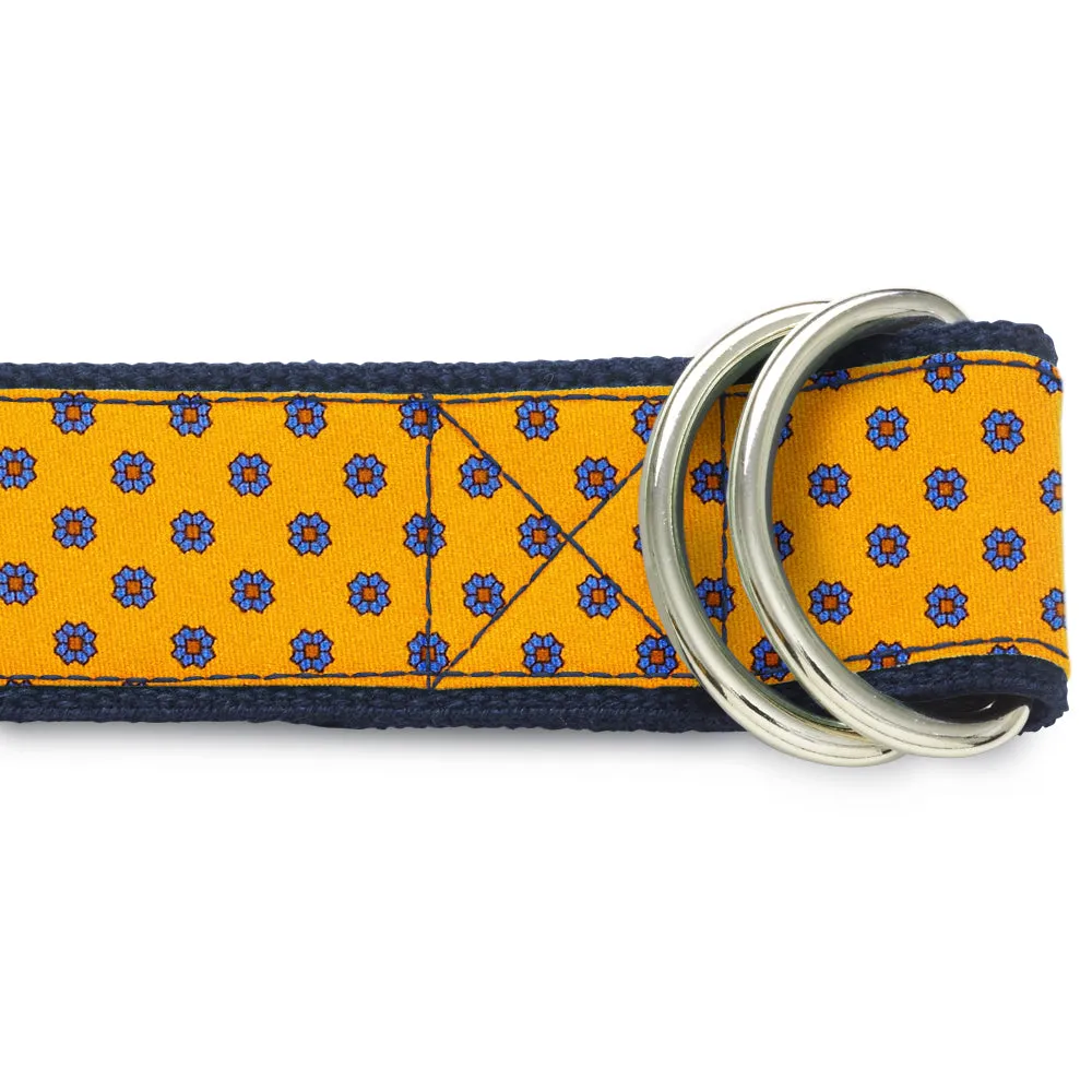 Solidago - D-Ring Belts