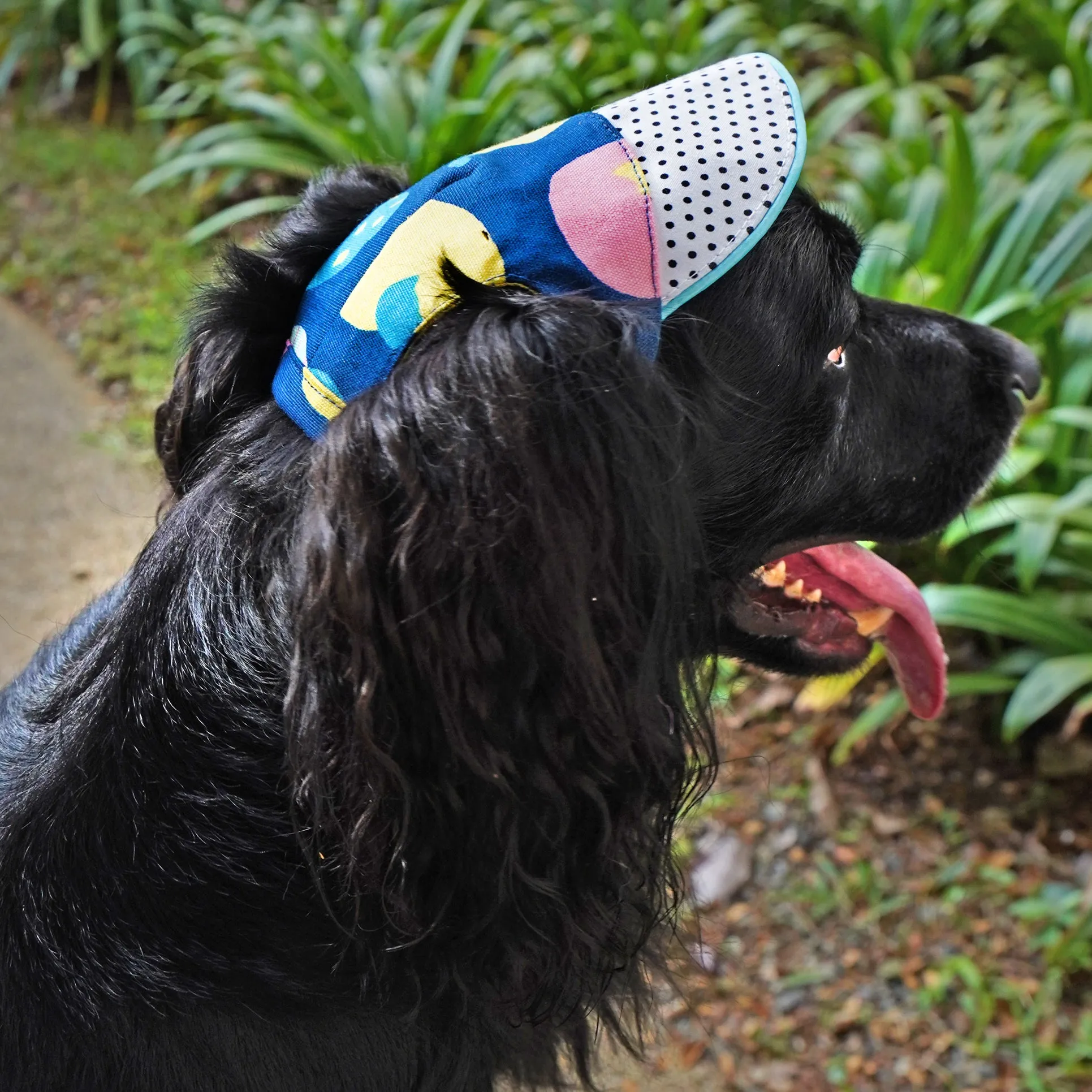 Unisex Walking Cap - Tutti Frutti